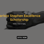 How to apply for Toriola Stephen Excellence Scholarship