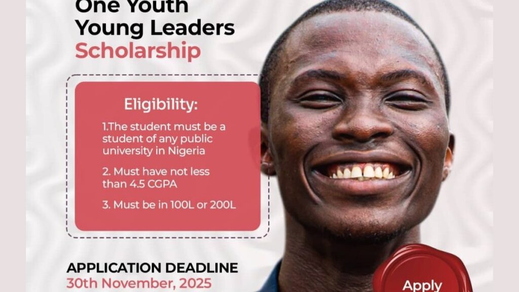 One Youth Young Leaders Scholarship for Undergraduates 2025 20250928 180750 0000