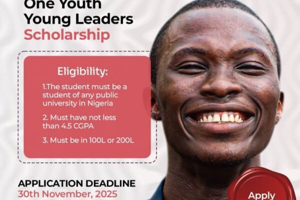 One Youth Young Leaders Scholarship for Undergraduates 2025 20250928 180750 0000