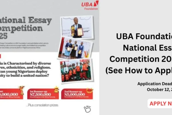 An image illustration of Uba Foundation National Essay Competition