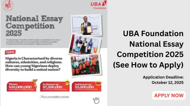 An image illustration of Uba Foundation National Essay Competition