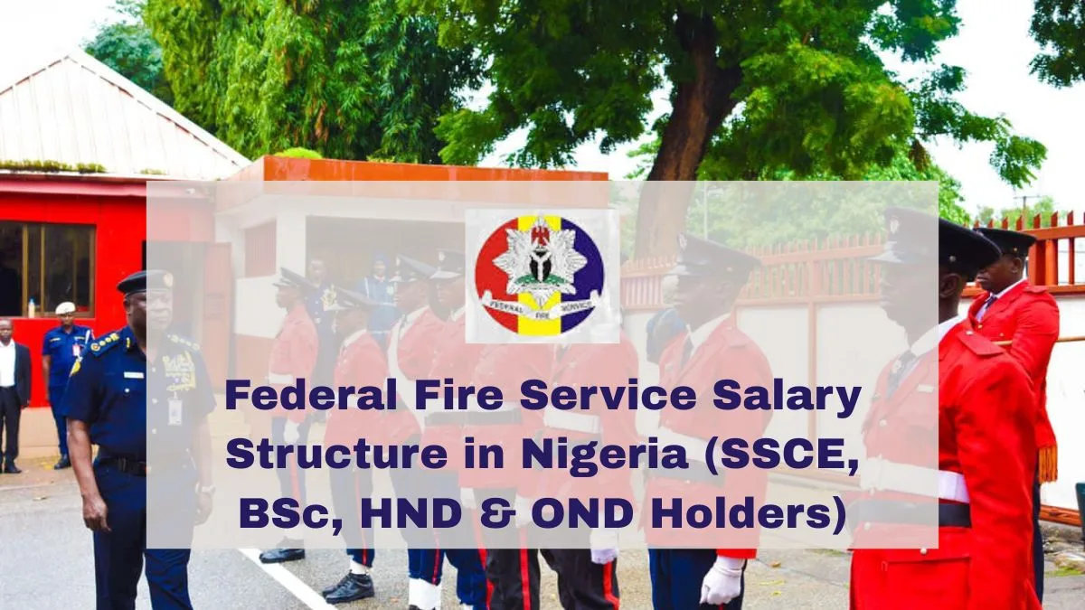 Federal Fire Service Salary Structure in Nigeria SSCE BSc HND OND Hold