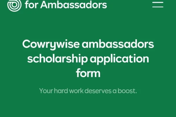 Cowrywise Ambassador Scholarship Program