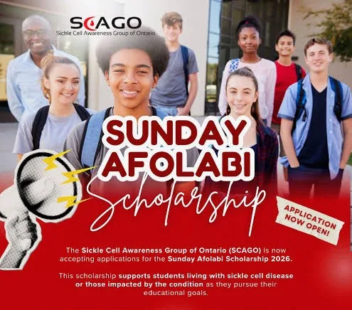 An illustration image of Sunday Afolabi Scholarship Grant 2026