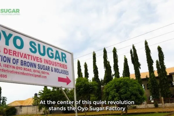 Application for Oyo Sugar Factory is Open