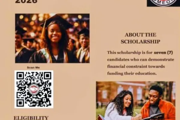 Toriola Stephen Undergraduate Scholarship