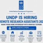 Apply for UNDP Remote Research Assistant Jobs