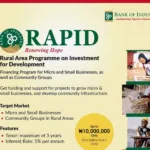 Application guidelines for BOI Rapid Programme 2026