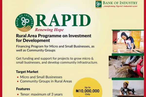 Application guidelines for BOI Rapid Programme 2026