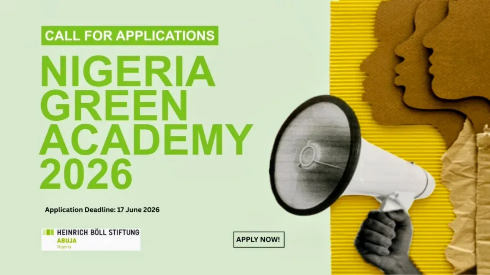 Heinrich Boll Stiftung hbs Nigeria Green Academy