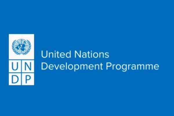 UNDP Digital AI and Innovation Remote Internship