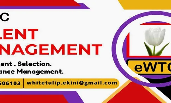 Ekini White Tulip Consulting Limited is hiring for multiple position.