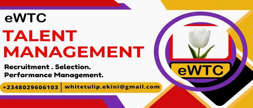 Ekini White Tulip Consulting Limited is hiring for multiple position.