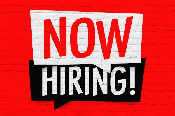 Apply for Jobvet Services Multiple Vacancies Recruitment 2026