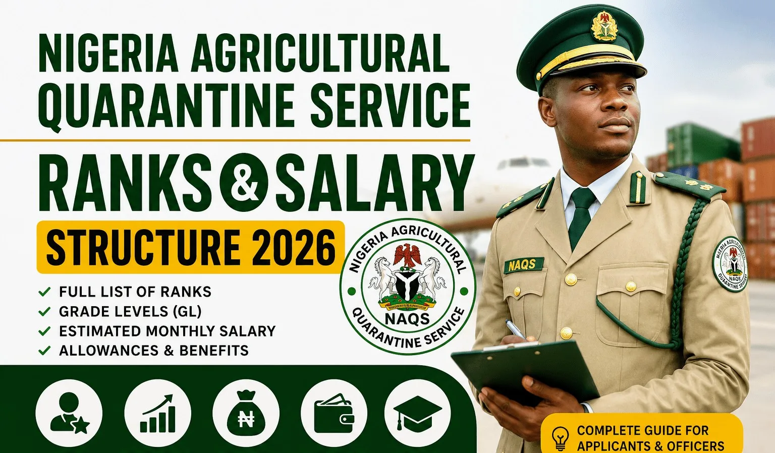 Here's the latest NAQS Salary structure for 2026